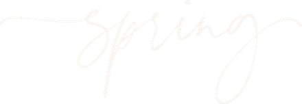 Spring B